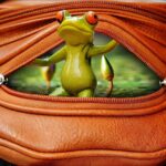frog, pocket, zipper-1558602.jpg